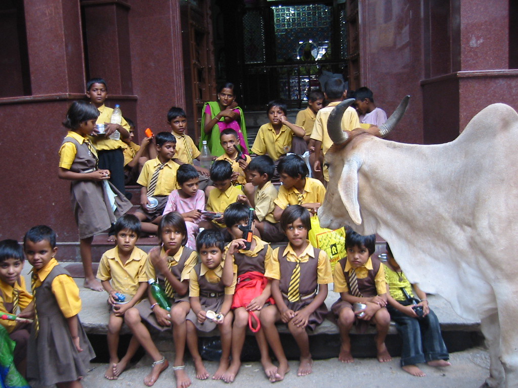 Indian children walking to school in a village lane